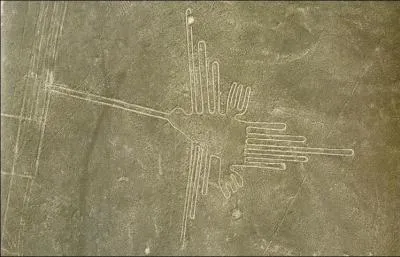 Comment appelle-t-on les traces dessines par les Nazcas, dans le plateau portant leur nom, o sont principalement reprsentes des cratures animales ?