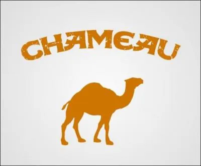 Quelle est cette marque ?