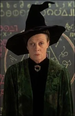 Quel est le malfice de protection de la pierre du professeur McGonagall ?