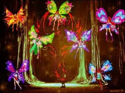 Quelle est cette transformation ?