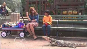 Qu'apprend-on de particulier dans le dernier pisode la saison 1 ?