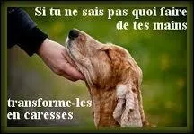 Le mot commence par : Bar ...