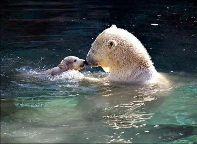 Pour terminer ce quiz, je vous souhaite de faire de  Doux rves , en anglais !