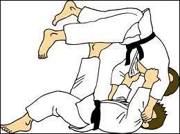 Quel est ce sport d'arts martiaux qui fait intervenir un vocabulaire japonais ?