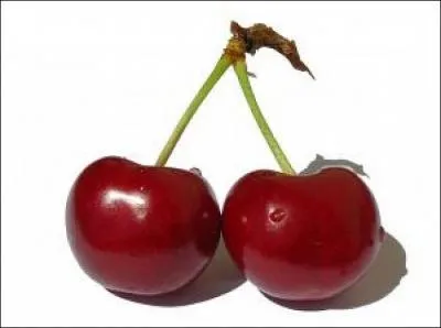 Quelle est cette baie ou drupe ?