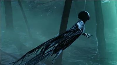 Aprs Harry, quelle est la personne la plus sensible aux dtraqueurs ?