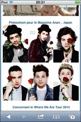 Qu'elle sont les origine de Zayn ?