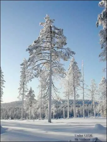 C'est l'espace le plus au Nord de l'Europe, s'talant sur trois pays, et considr comme le pays du pre Nol !
