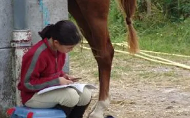 Quiz Galop 1