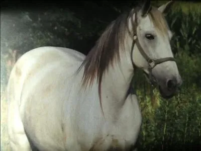 Quelle est cette robe ?