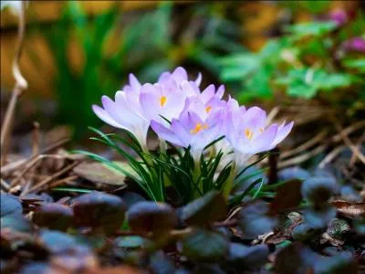 Sur cette question, vous tes avantag !