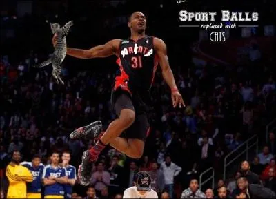 De quelle quipe est ce joueur ?