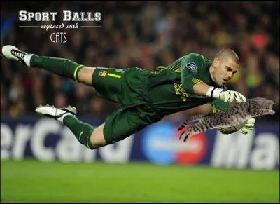 Qui est ce gardien voluant dans un club du championnat d'Espagne de football ?