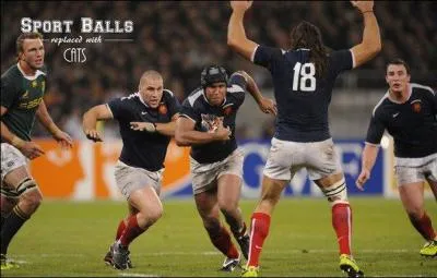 Sur ce match, qui est l'adversaire de la France ?