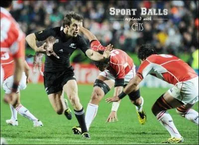 Par quel ballon ce chat a-t-il t remplac ?