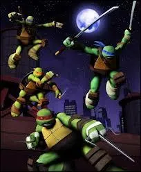 Quelle est la tortue la plus intelligente ?