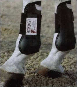 Comment s'appelle la protection qu'on met sur les membres ?