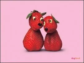 Au moins cinq fruits et lgumes par quiz ! Le myo-inositol tait autrefois appel la vitamine :