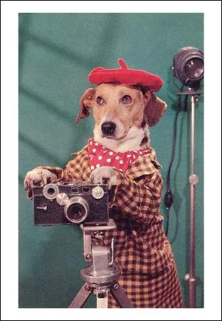 Un photographe qui a du chien ! En photographie, la pose longue est aussi appele :