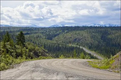 Quel animal avez-vous de fortes chances de rencontrer en Alaska ?