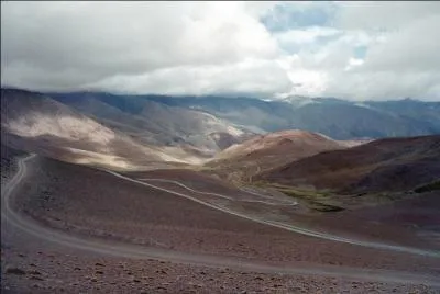 En Argentine et dans le Sud de l'Amrique du sud, vous pouvez apercevoir ce canid, haut sur pattes et amateur de rongeurs !