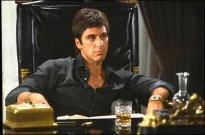 Dans ce film, Tony Montana, un migr cubain arriv aux USA va devenir l'un des plus grands trafiquants de drogue avant de connatre une chute tout aussi fulgurante. Il s'agit du film :