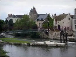 La ville de Romorantin-Lanthenay ( Loir-et-Cher ) est chef-lieu ...