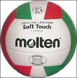  quel sport correspond ce ballon ?