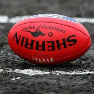  quel sport correspond ce ballon ?