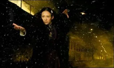 En 2013, comment s'appelle le personnage incarn par Zhang Ziyi dans le film  The Grandmaster , qui retrace la vie de Yip Man ?