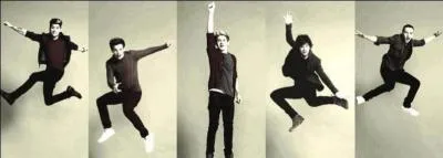 Qui a eu l'ide du nom de leur groupe ?