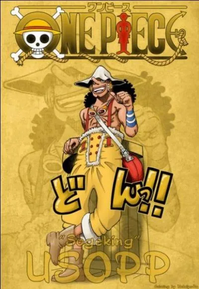 Qui a entran Usopp pendant les 2 ans ?