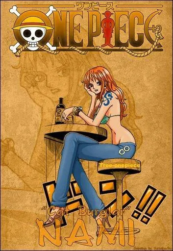 Qui a entran Nami pendant les 2 ans ?