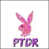 Que veut dire  ptdr 