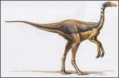 Je suis le Dromiceiomimus. Pas facile  porter comme nom ! Je suis srement l'un des plus rapides parmi les dinosaures. Je peux courir aussi vite qu'un :