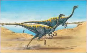 Je suis l'Ornithomimus. Je pse 100 kg, mesure 3 m de long et 2 m de haut. Combien ai-je d'orteils  chaque patte, sachant que ce nombre s'obtient en multipliant mon poids par ma hauteur et ma longueur et en divisant par 200 ?
