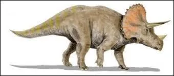 Devinette : Mon premier est un animal  moustache. Mon second peut avoir un frre. Mon tout qualifie certains dinosaures.