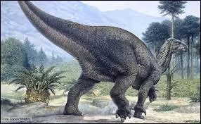 Je suis l'Iguanodon. Les savants ont estim ma course  24 kilomtres  l'heure.  ton poque, le record du monde du 100 mtres est de 9, 58 secondes (tablit le 16 aot 2009). Par rapport  ce champion, comment qualifierais-tu ma vitesse ?