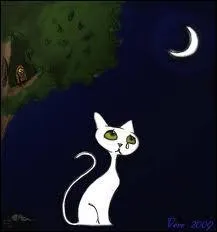 Apprenez  parler franais : On ne dit pas  l'acide amin  mais on dit :