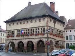 Nous retournons en Lorraine mais nous allons  Rambervillers ( Vosges ). La ville est chef-lieu ...