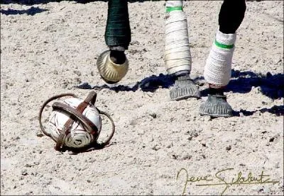 Quelle discipline questre ce pratique avec un ballon ?