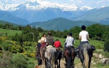 Quiz Galop 2