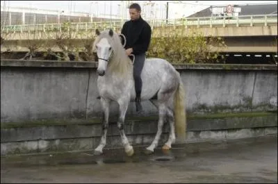 Laquelle de ces propositions n'est pas une aide naturelle ?