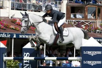 Combien y a-t-il de phases dans un saut ?