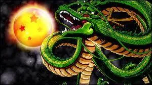 Qui a invoqu Shenron pour la premire fois ?