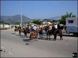 Est-ce que le code de la route s'applique aux cavaliers ? * :