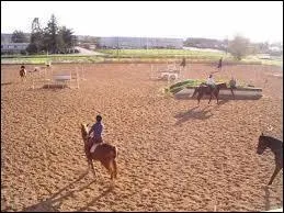 Avant qu'un cheval saute, il * :