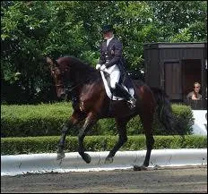 Qu'est-ce que le galop  faux * :