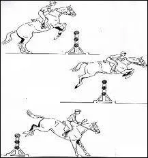 Combien y a-t-il de phases pour le saut * ?