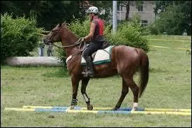 Le reculer est une allure * :